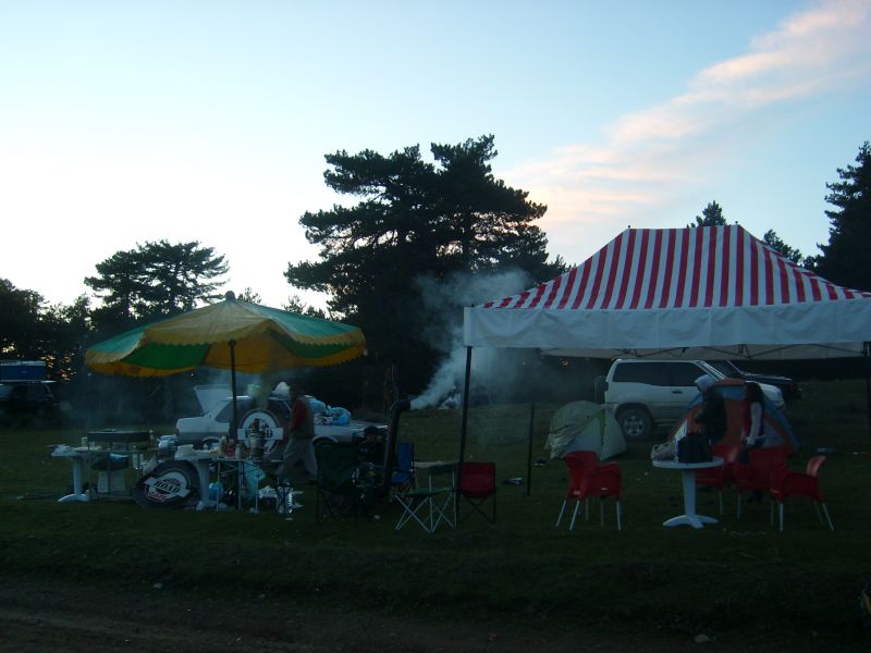 SL271749.jpg