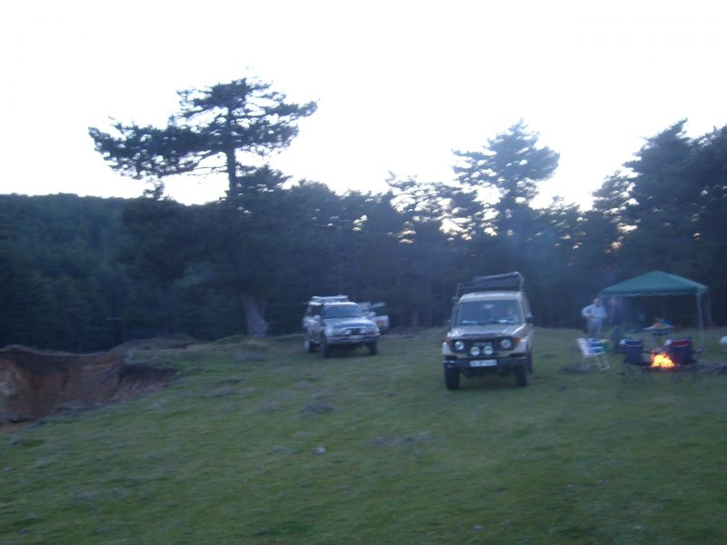 SL271751.jpg