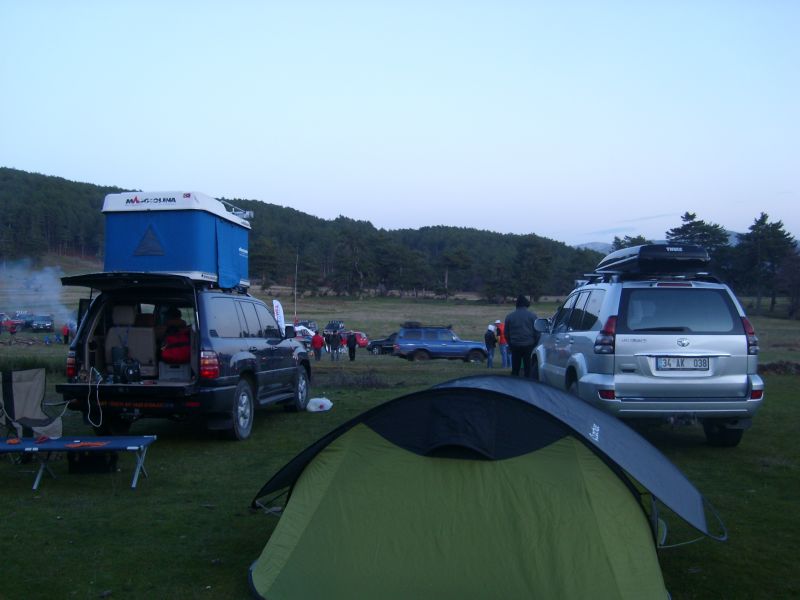 SL271753.jpg