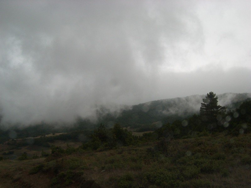 SL272029.JPG
