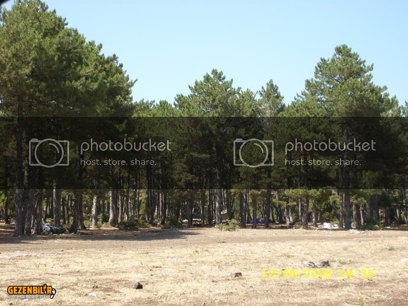 SL272201.jpg