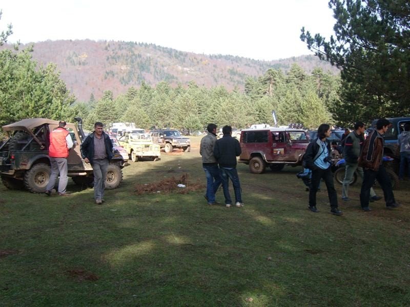 SL273337.JPG