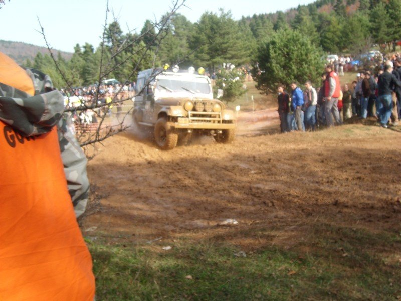 SL273343.JPG