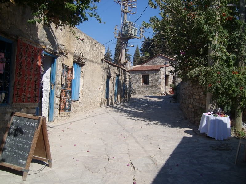 SL274436.jpg