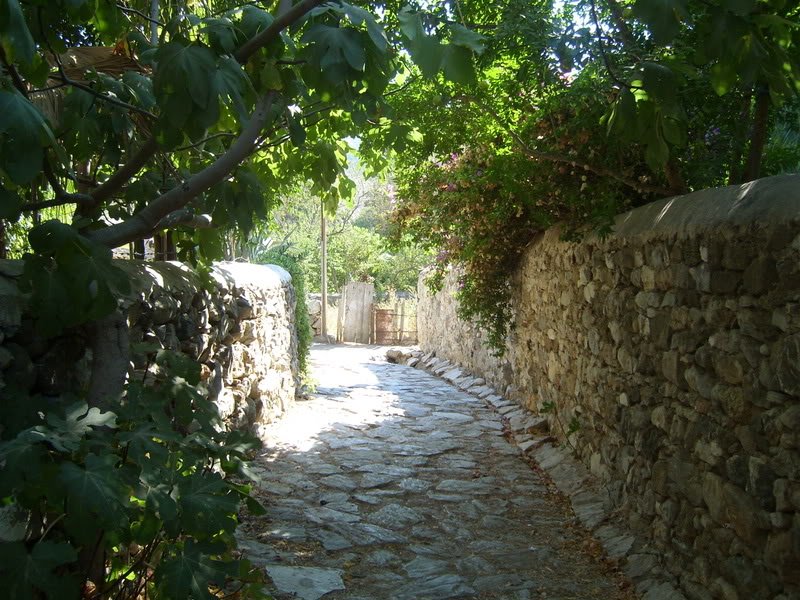 SL274439.jpg
