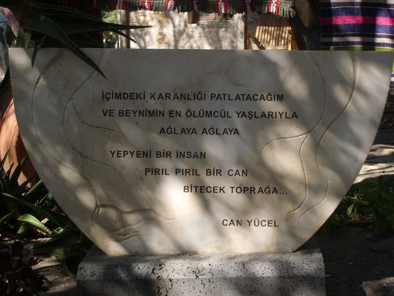 SL274442.jpg
