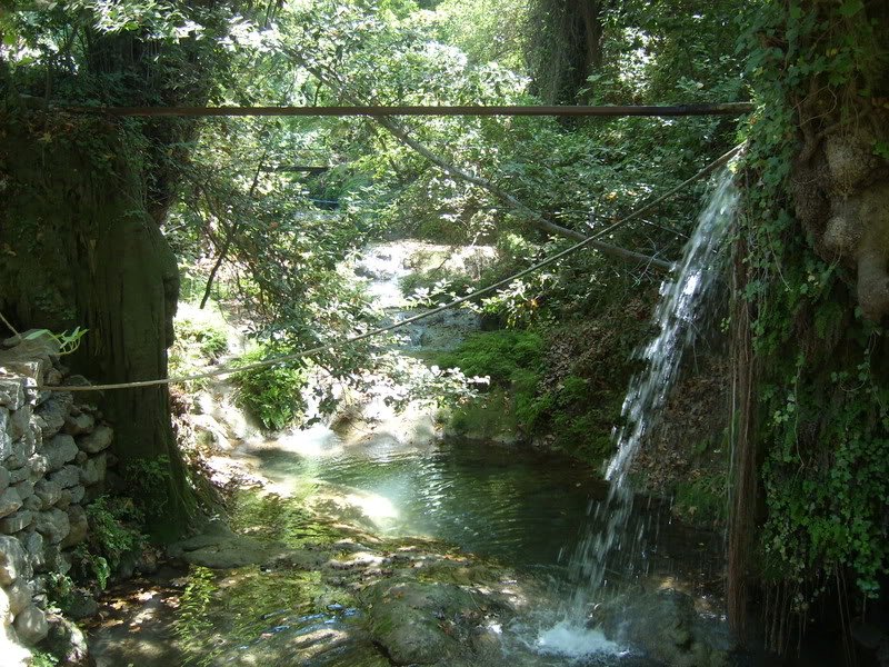 SL274469.jpg