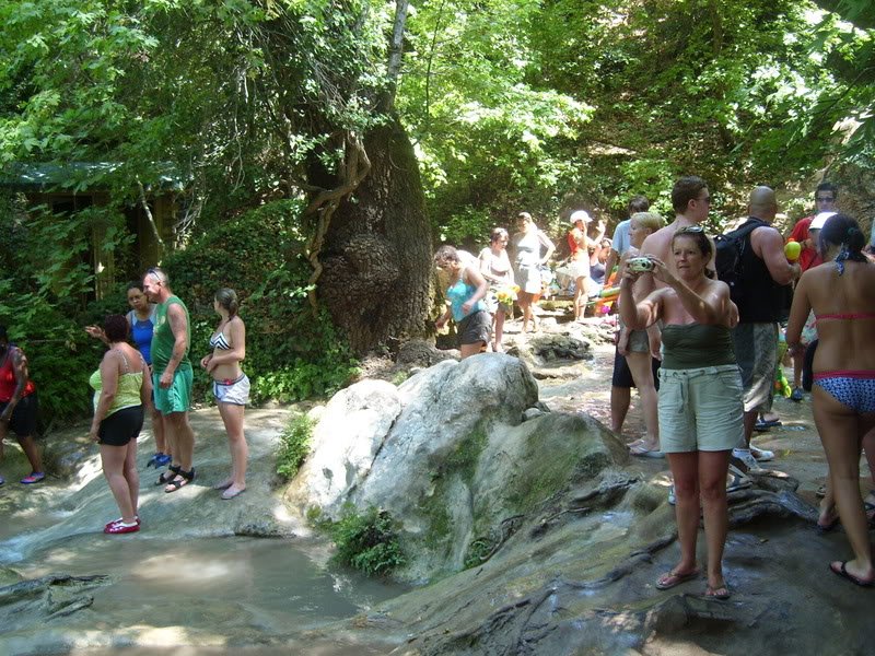 SL274474.jpg