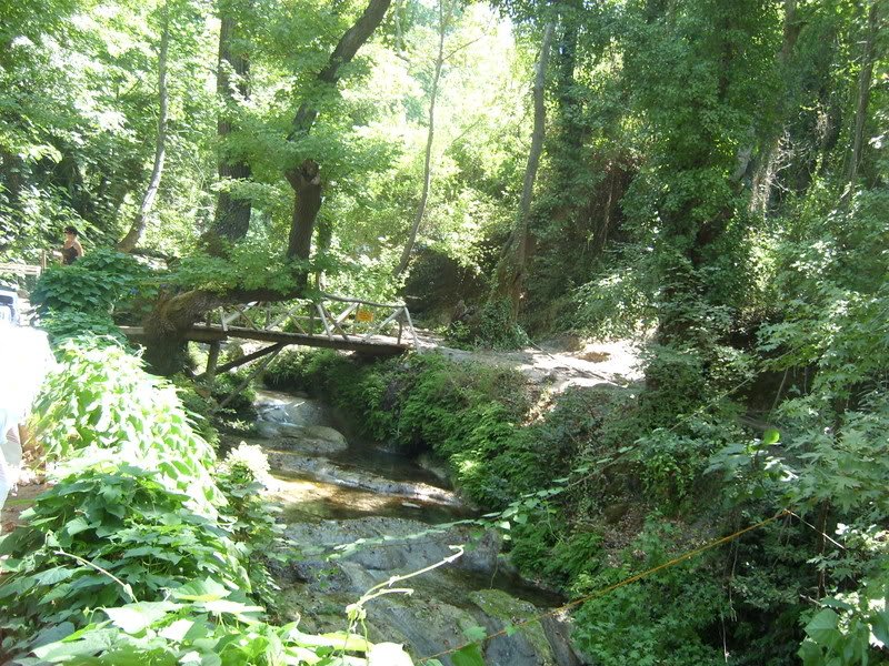 SL274480.jpg