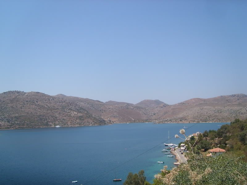 SL274485.jpg