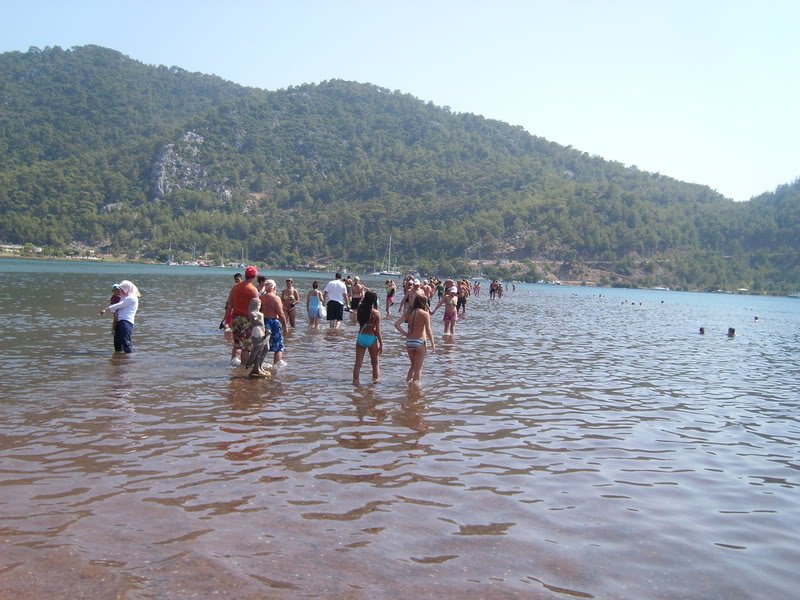 SL274499.jpg