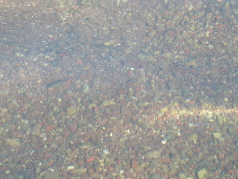 SL274531.jpg