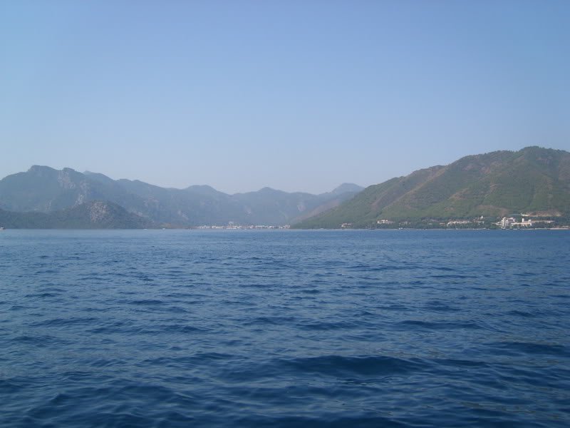 SL274553.jpg
