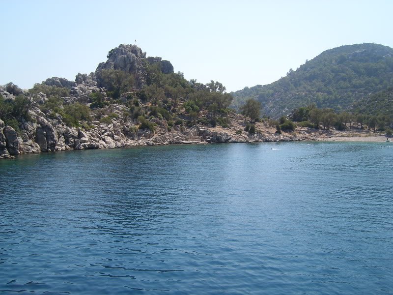 SL274570.jpg