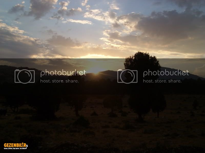 SL274794.jpg