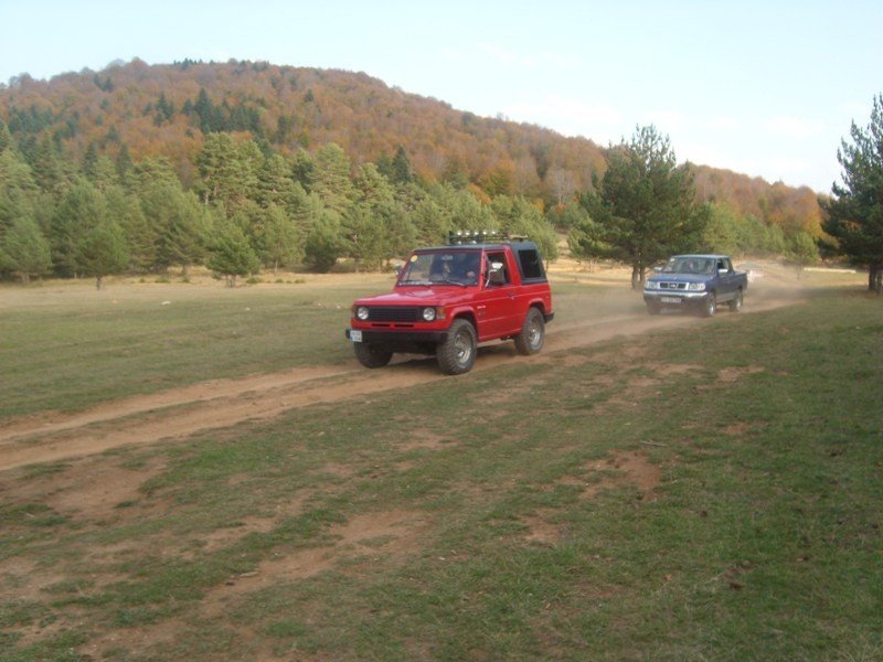 SL275484.JPG