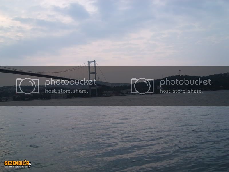 SL276007.jpg