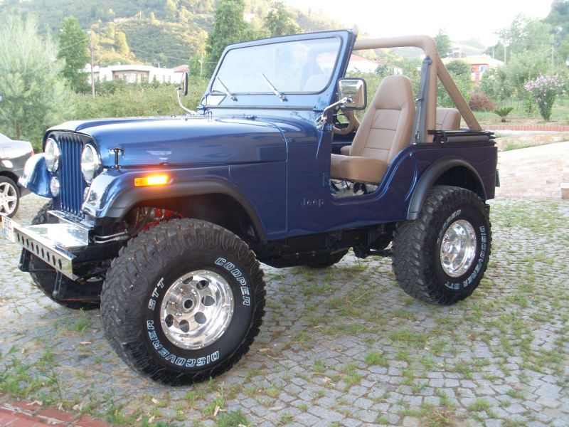 SL372202.jpg