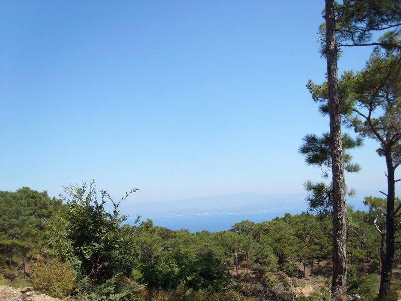 SL730256.jpg