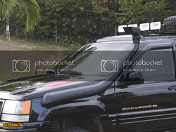 Snorkel16.gif