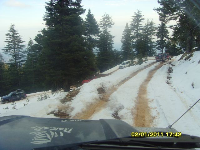 SNV35626.jpg