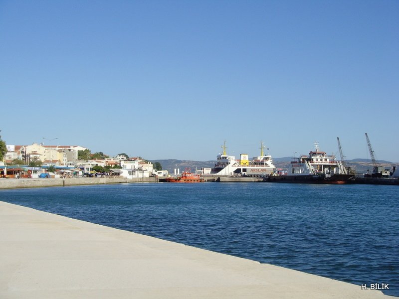 SNV38034.jpg