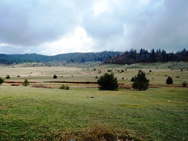 soÃƒÂƒÃ‚Â„ÃƒÂ‚Ã‚ÂŸucak yaylasÃƒÂƒÃ‚Â„ÃƒÂ‚Ã‚Â± 144.jpg