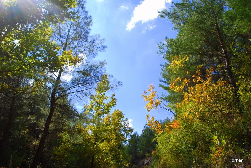 SONBAHAR ( EKÃƒÂƒÃ‚Â„ÃƒÂ‚Ã‚Â°M 24) 010.jpg