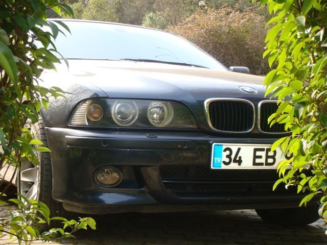 SonyT00010091.jpg