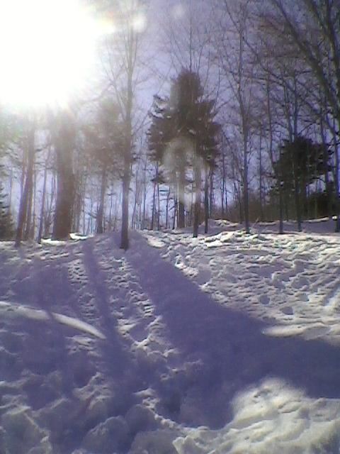 SP_A0013.jpg