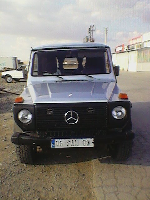 SP_A0387.jpg