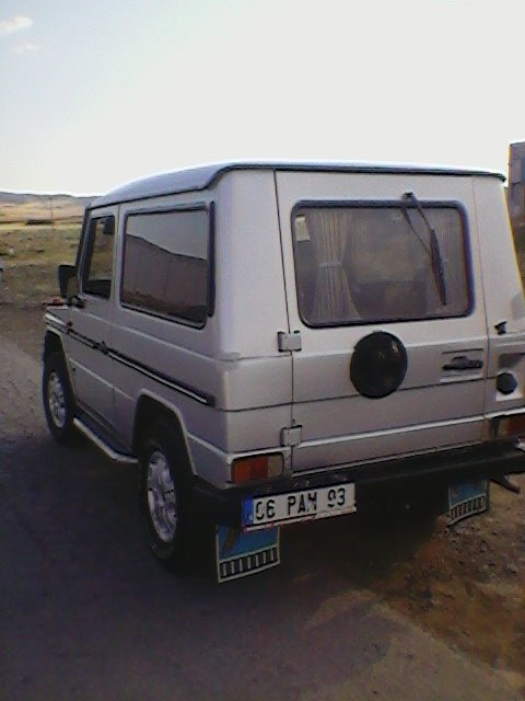 SP_A0390.jpg