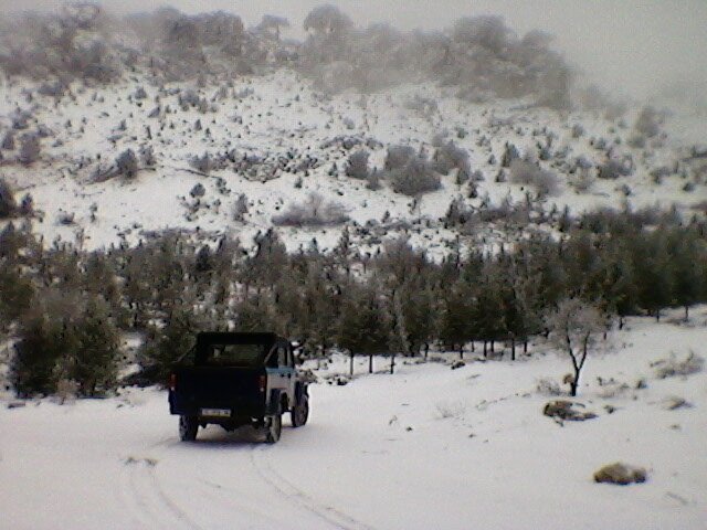 SPM_A0089.jpg