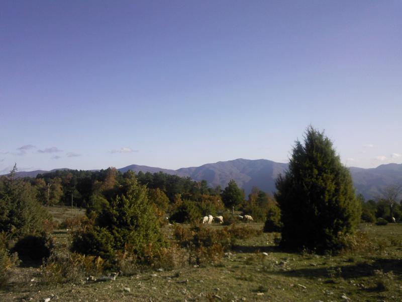 SPM_A1589_800x600.jpg