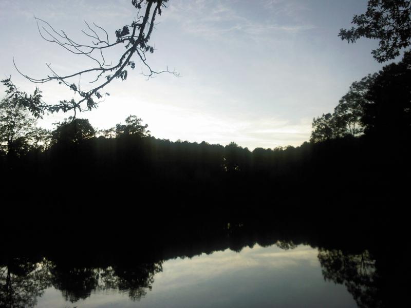 SPM_A1593_800x600.jpg