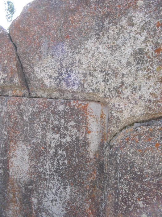 SS0018.jpg