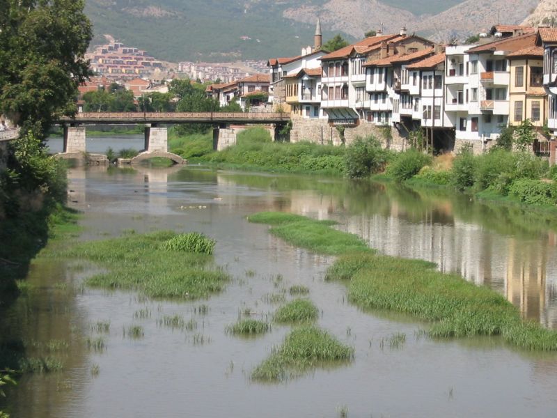 SS0100.jpg