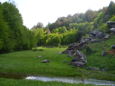 SS851340.JPG