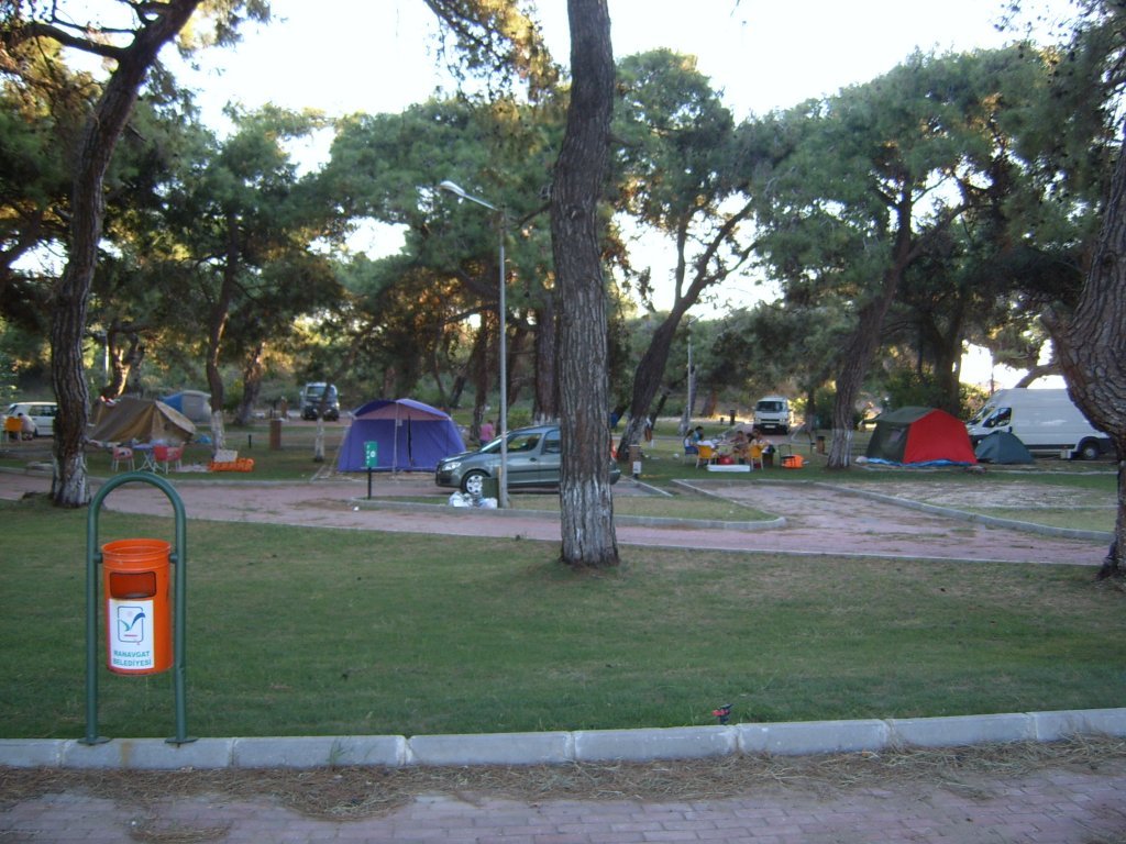 SUC52849.JPG