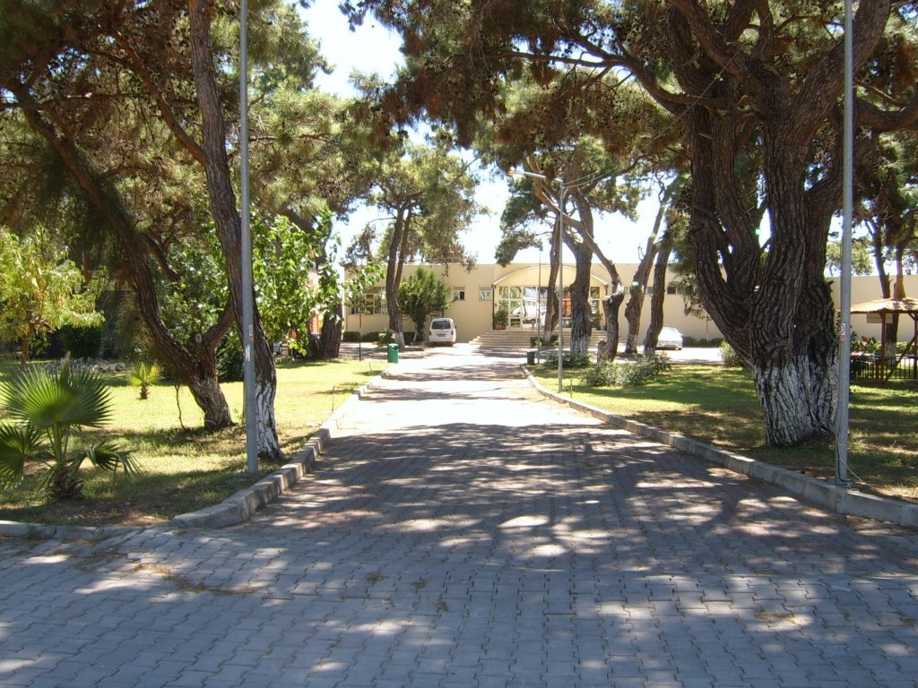SUC52875.JPG