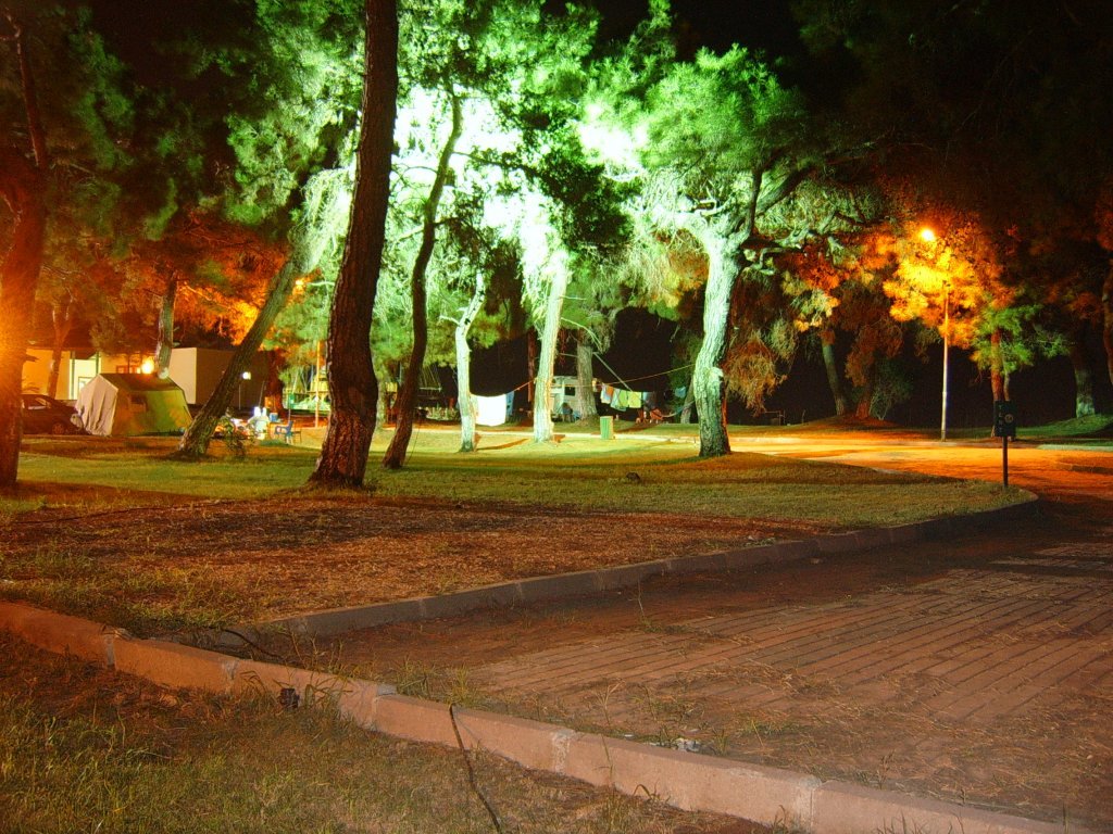 SUC52943.JPG