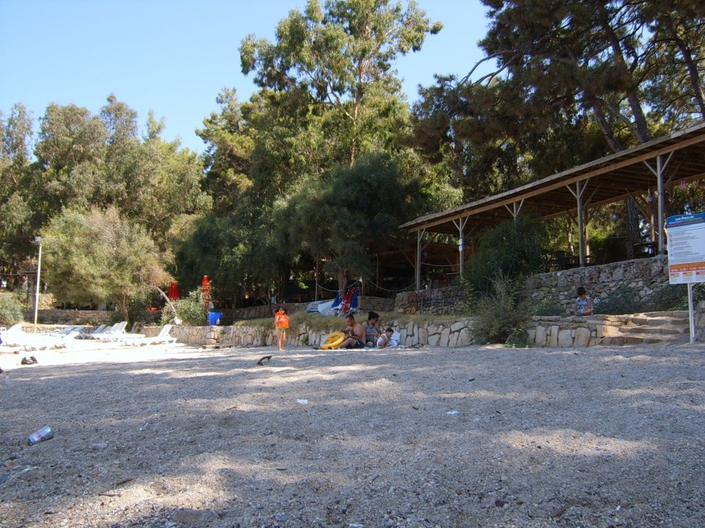SUC52952.JPG