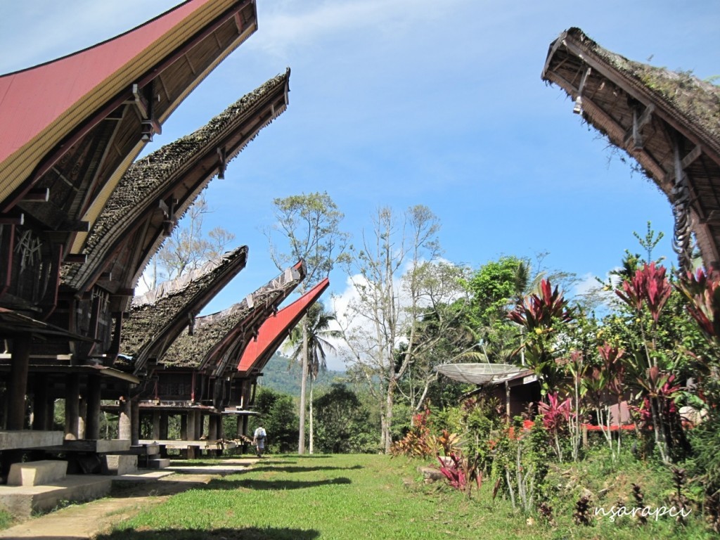 Sulawesi-Toraja-Rantepao1.JPG