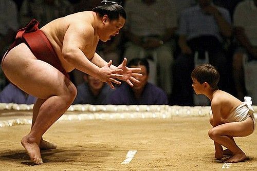 sumo.jpg