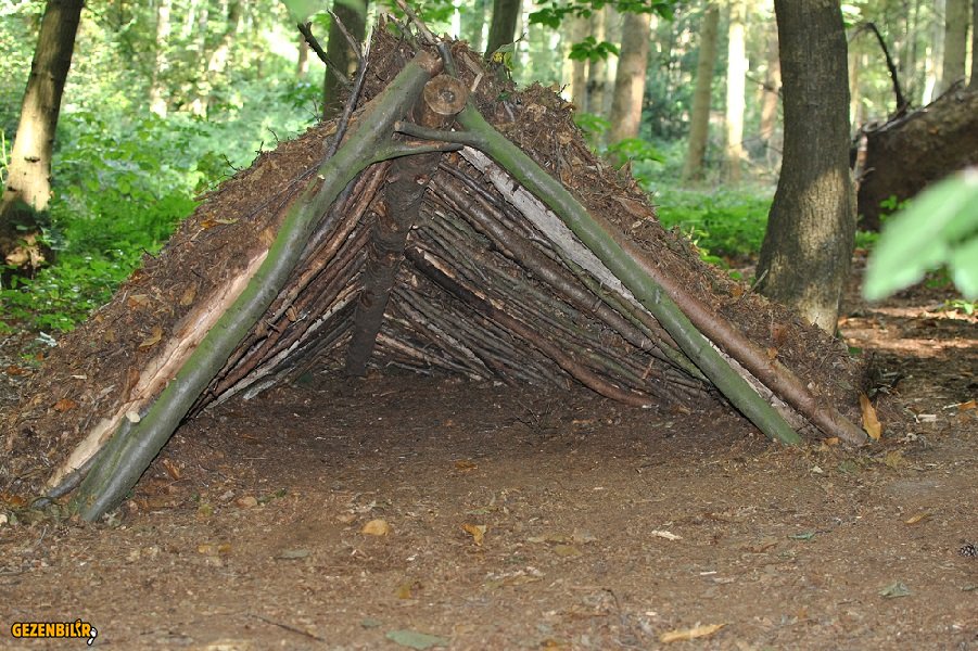 Survival shelter