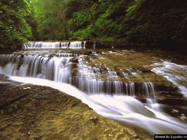 Sweet Creek, Siuslaw National Forest, Oregon.jpg
