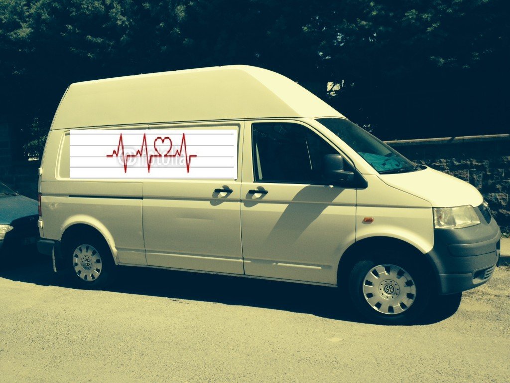t5 yan.jpg