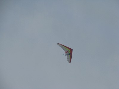 t_img_7776_181.jpg