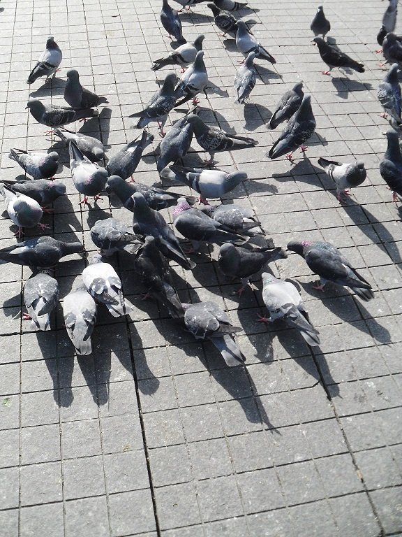 Taksim.JPG
