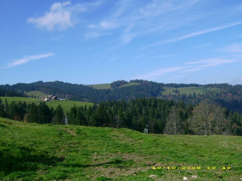 TANZBODEN. (3).jpg